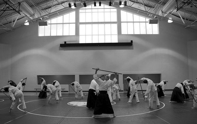 Aikido Martial Arts