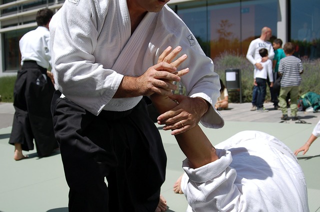 Martial Arts Aikido